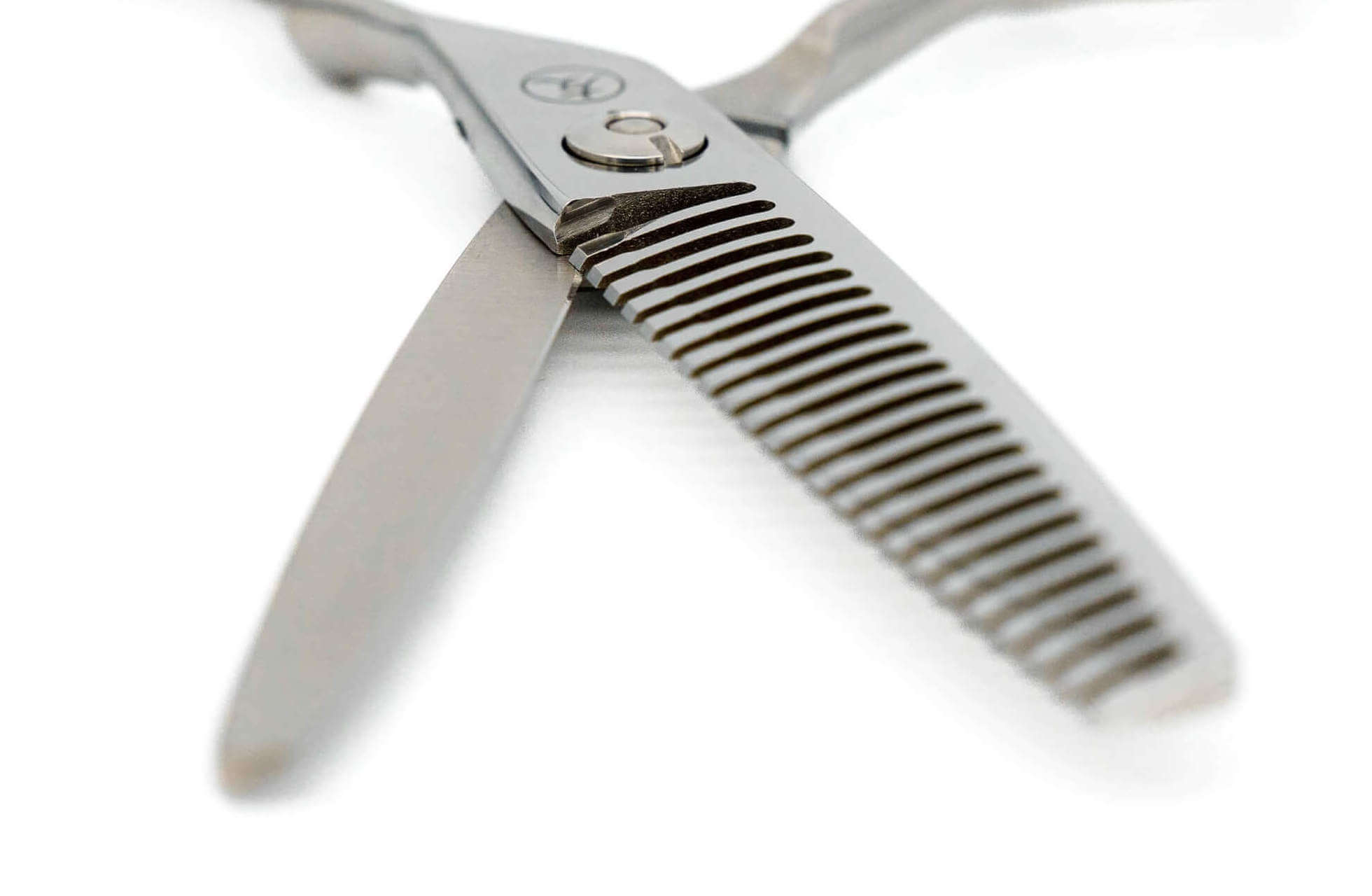 AK TXSF Open Teeth