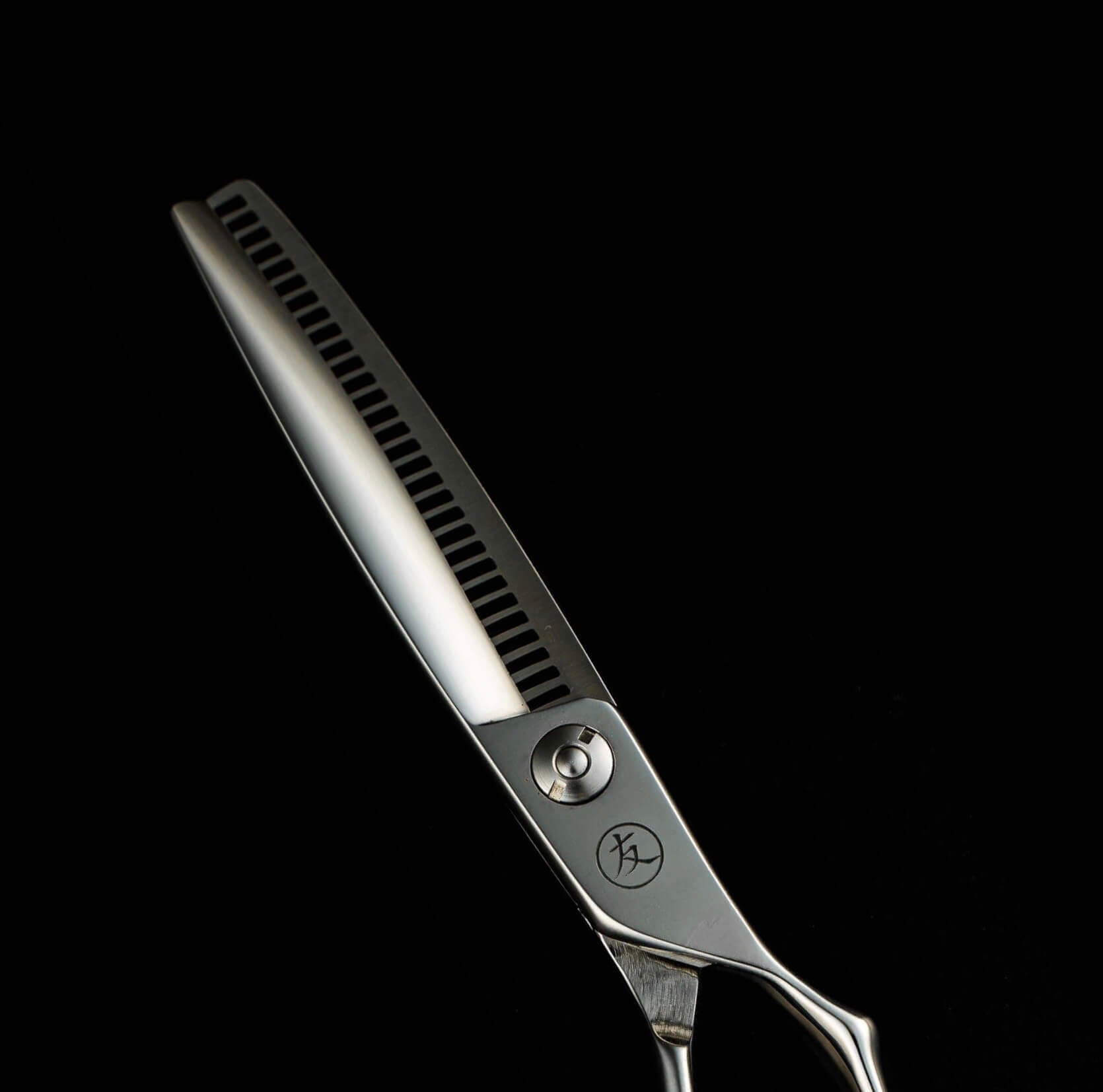 TN CSR- VG10 Japanese