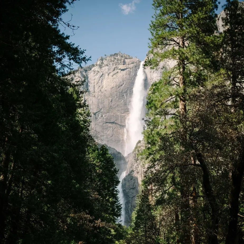 Trees, mountain and waterfall
